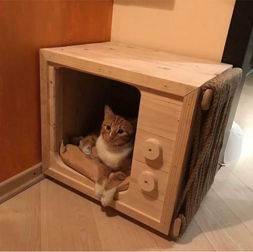 Кошкин домик ТВ